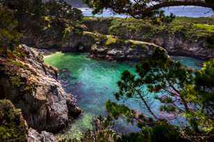 Point Lobos-3438.jpg Point Lobos-3438.jpg